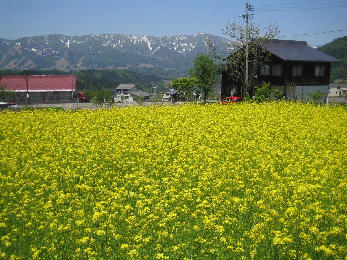 いなかの宿さわ 野沢温泉村 エクステリア 写真